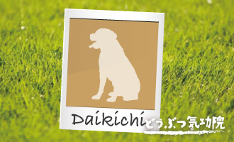 daikichi330x200